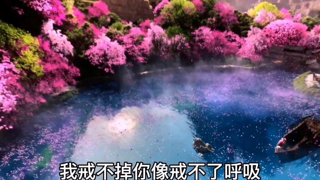 蓝狐视频