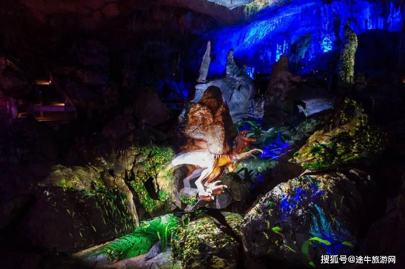 探索知识星球溜肉段用生粉还是淀粉,一起开启学习的新征程